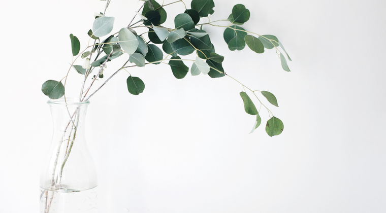 fast-removalists-Sydney and sale furniture 